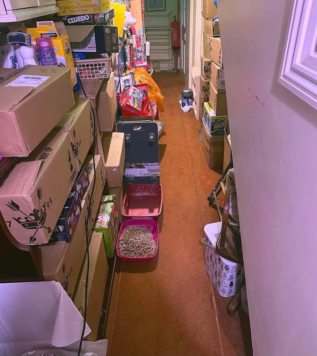 After — the same corridor with the floor cleared and litter trays tidied