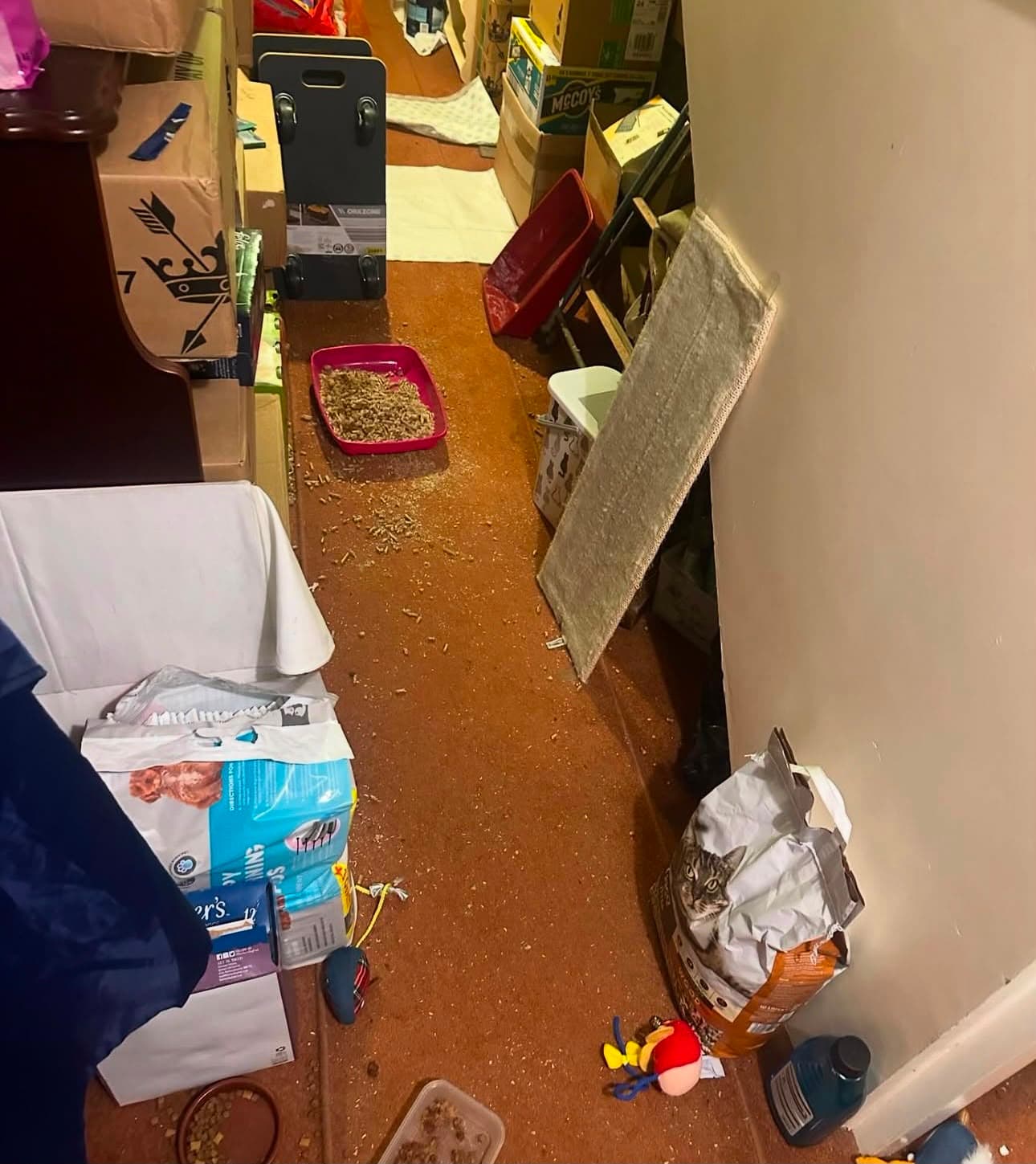 Before — a storage corridor with spilled pet litter across the floor